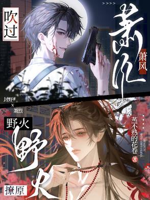 吹过潇潇来的风 吹过潇潇来的风