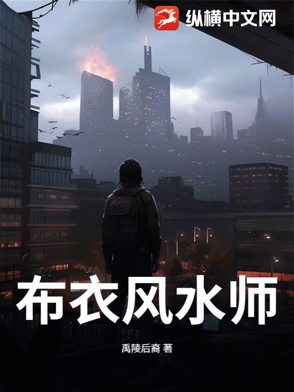 风水大师布衣的经典故事 风水大师布衣的经典故事