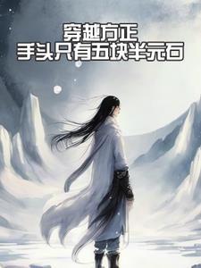 穿越方正手头只有五块半元石 穿越方正手头只有五块半元石