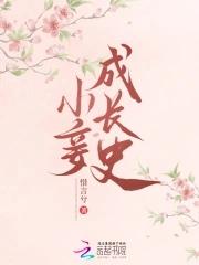 小妾笔方 小妾笔方