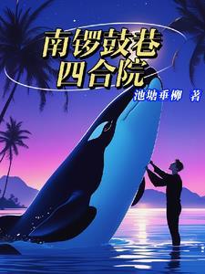 南锣鼓巷四合院图片 南锣鼓巷四合院图片