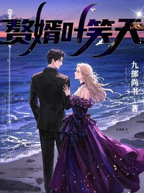 叶天 赘婿 叶天 赘婿