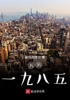 我的一九八五精校版 我的一九八五精校版