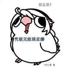 我是谁究极无敌琪亚娜! 东方小星 我是谁究极无敌琪亚娜! 东方小星