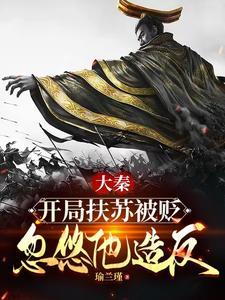 大秦 我 扶苏 不会武功 大秦 我 扶苏 不会武功