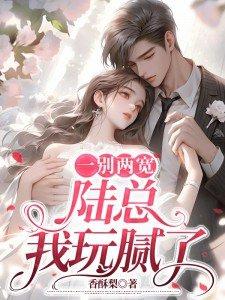 陆总我玩腻了免费阅读 陆总我玩腻了免费阅读