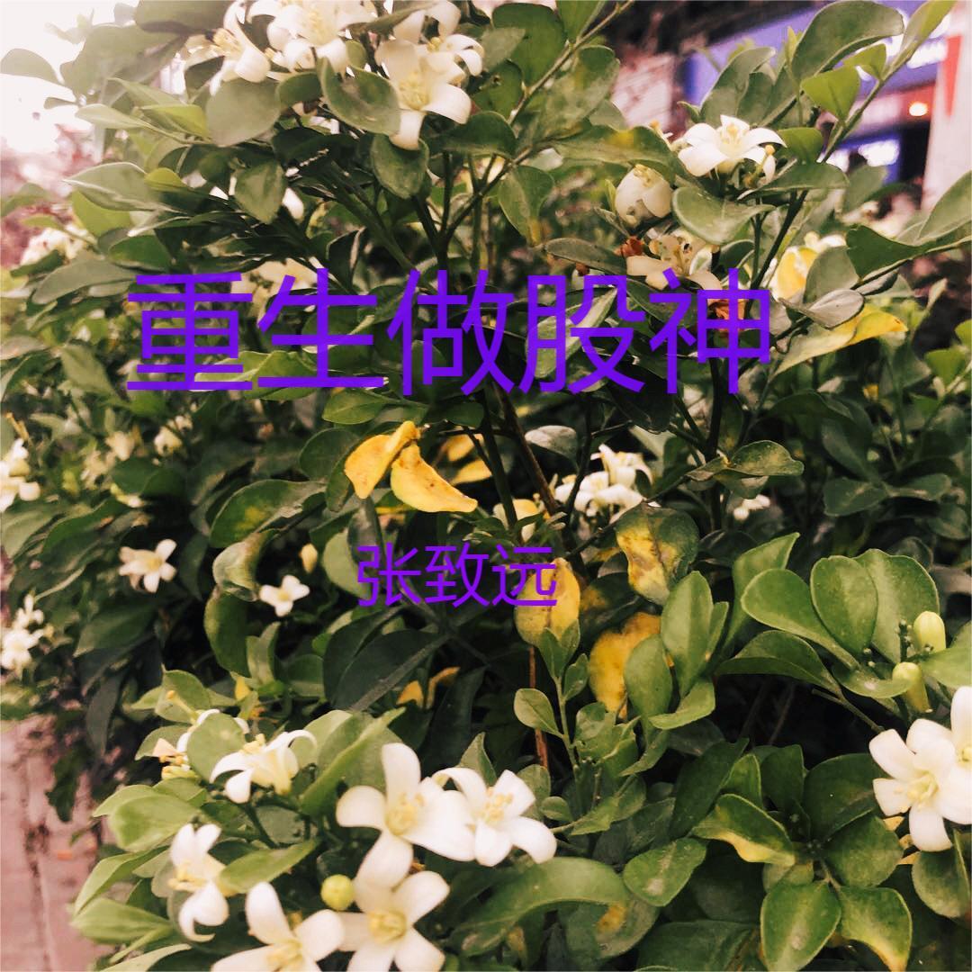 重生金融完结 重生金融完结