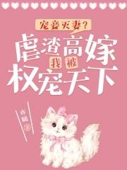 宠妾灭妻虐文 宠妾灭妻虐文