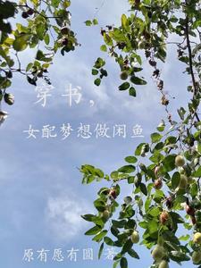 穿书女配只想做沙雕全文阅读 穿书女配只想做沙雕全文阅读