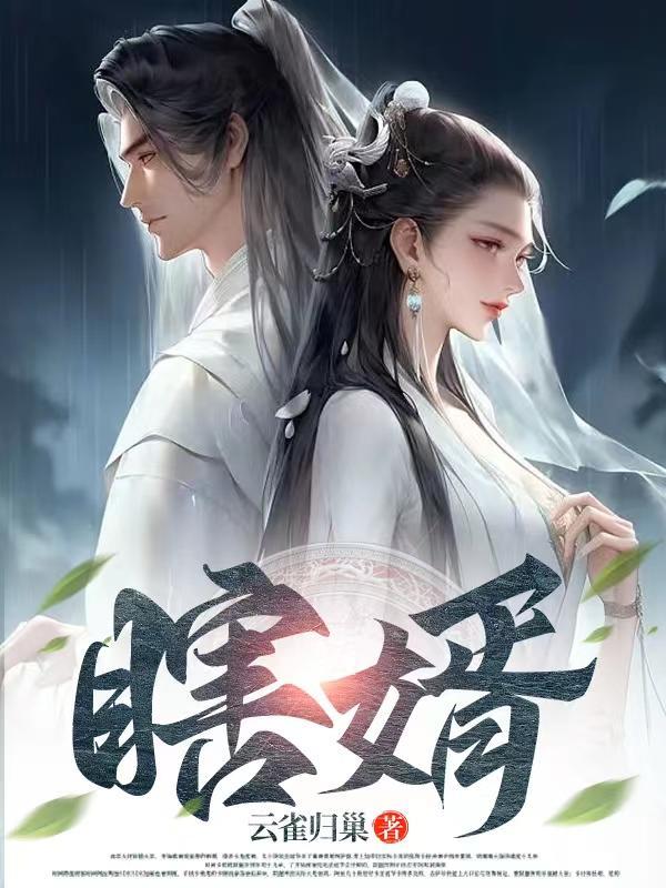 瞎婿记 瞎婿记
