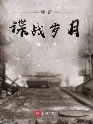 我的谍战岁月无错版 我的谍战岁月无错版