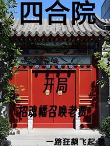 四合院我成了棒梗 四合院我成了棒梗