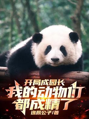 有系统的 有系统的