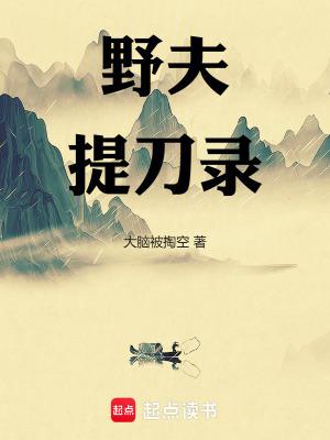 野夫提刀录笔趣阁 野夫提刀录笔趣阁