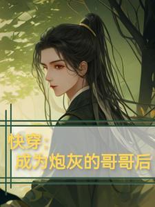 穿成炮灰的哥哥快穿 穿成炮灰的哥哥快穿
