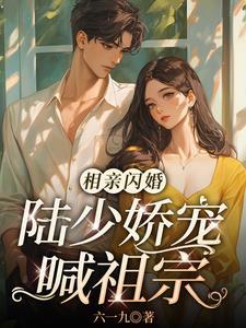闪婚甜妻太傲娇 闪婚甜妻太傲娇