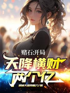 赌石开局天降横财两个亿浪迹天涯带着刀