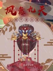 凤舞九天免费阅读
