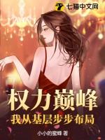 权力巅峰我从基层步步布局 小小的蜜蜂 权力巅峰我从基层步步布局 小小的蜜蜂