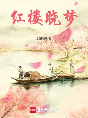 红楼梦小戏骨百度百科 红楼梦小戏骨百度百科