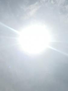 谢家百科 谢家百科