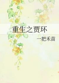 重生贾环复仇记 重生贾环复仇记