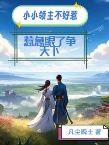 小小领主破解版 小小领主破解版