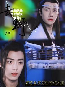 忘羡的孩子们从天而降20 忘羡的孩子们从天而降20