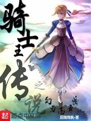 骑刃王终极幻影骑 骑刃王终极幻影骑