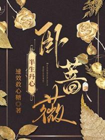 半生丹心卧蔷薇 半生丹心卧蔷薇