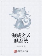 海贼之天赋系统 海贼之天赋系统