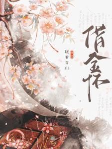 借金怀 借金怀