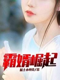 霸婿崛起 霸婿崛起