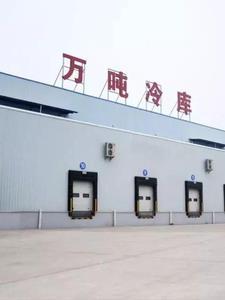 重生六零买四合院 重生六零买四合院