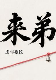 宝可梦之放下冠军的我来到 宝可梦之放下冠军的我来到