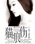猫痕伤 猫痕伤