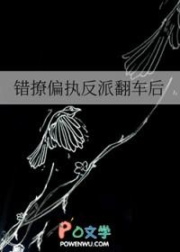 错撩偏执反派翻车后 错撩偏执反派翻车后
